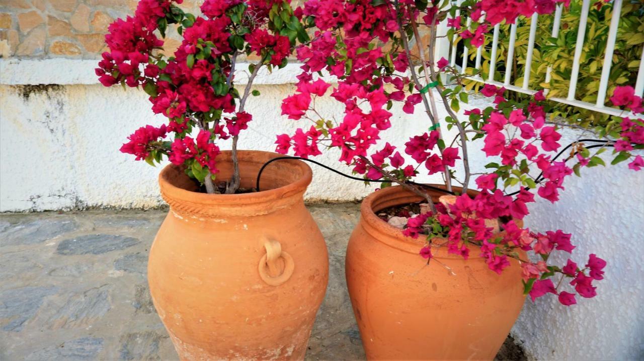 Sol Beach 24 Orihuela Dış mekan fotoğraf
